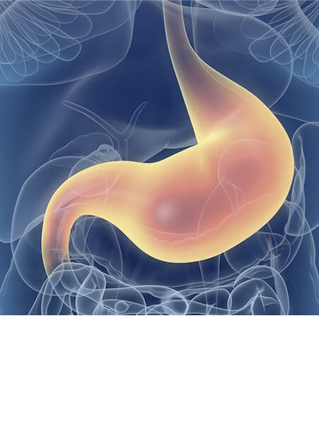 Colon Surgery - Gastroscopy