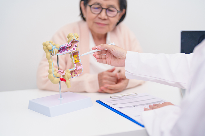 Colonoscopy surgeon having a consultation with a patient using a colon model
